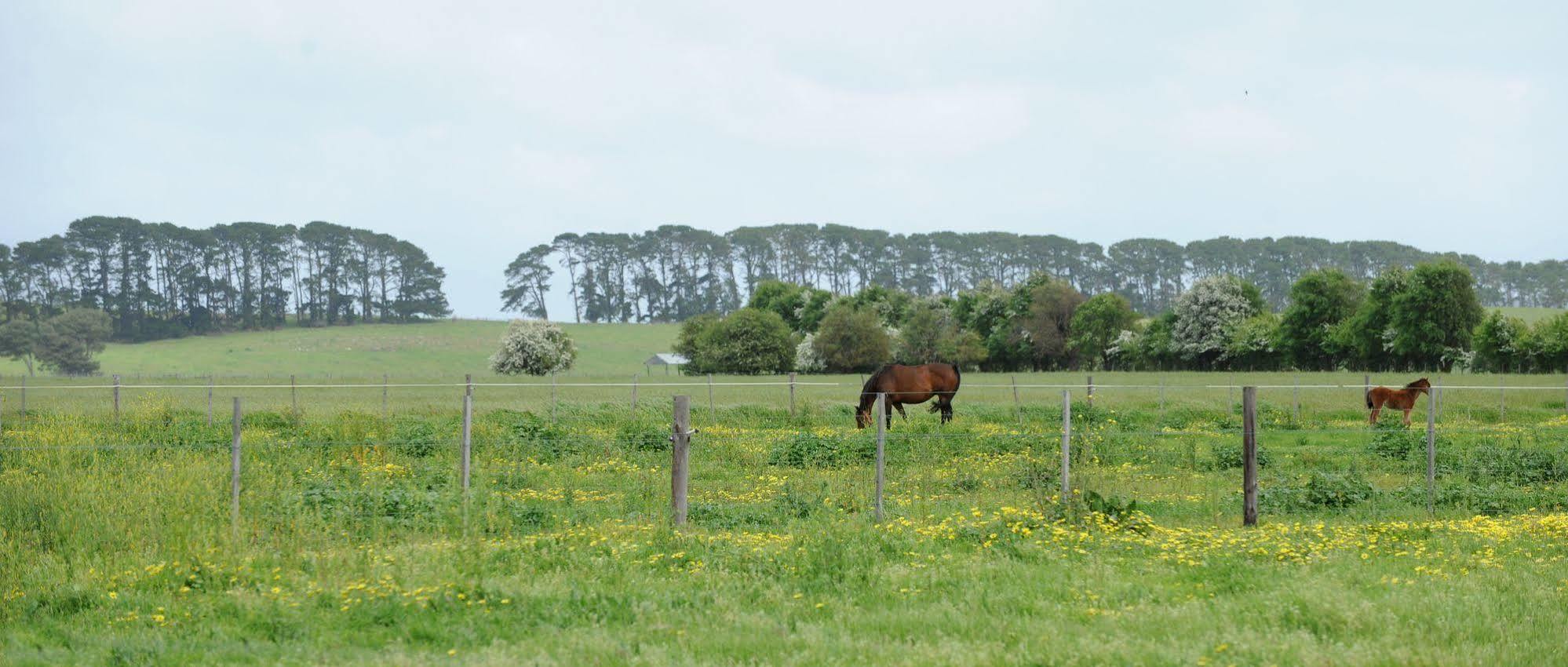 The Barn Accommodation Mount Gambier Exteriör bild